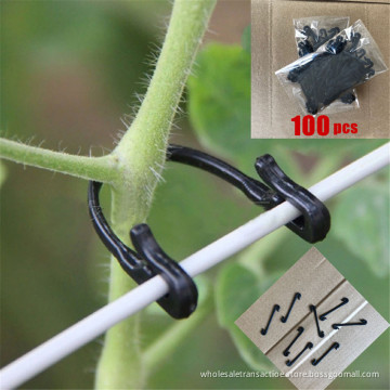 Vines Fastener Tied Buckle Hook Plant Vegetable Grafting Clips Agricultural Greenhouse Supplies